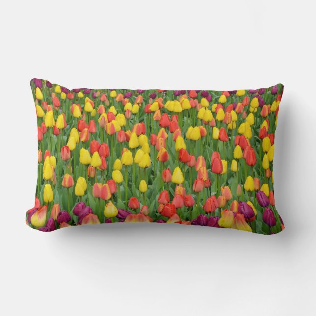 Beau coussin de jardin de tulipe de printemps (Recto)