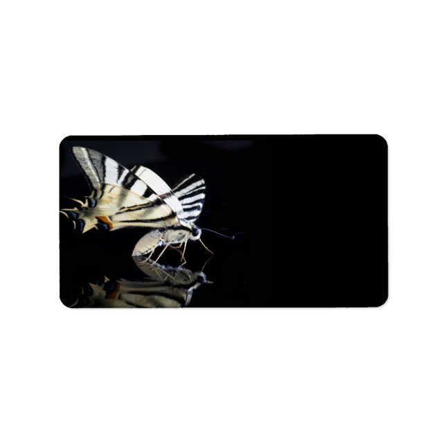 Beau étiquette papillon (Devant)
