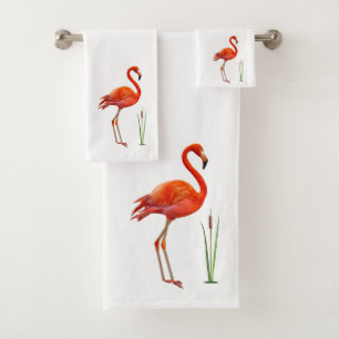 Beau Flamant Rose & Plante de Roseau sur Fond Blan