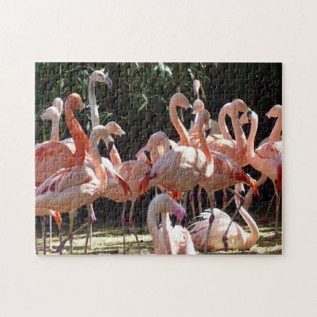 Beau Flamants roses roses Jigsaw Puzzle (Horizontal)