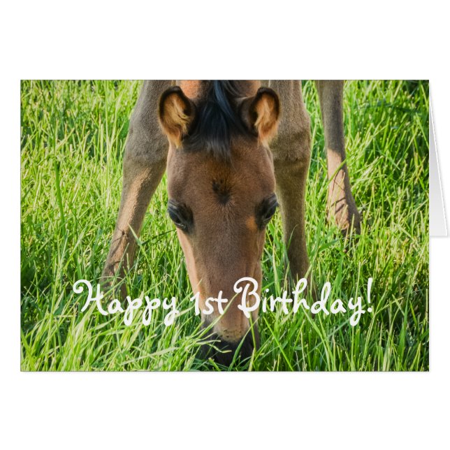 Beau Foal Cheval Animaux Joyeux Anniversaire (Devant horizontal)