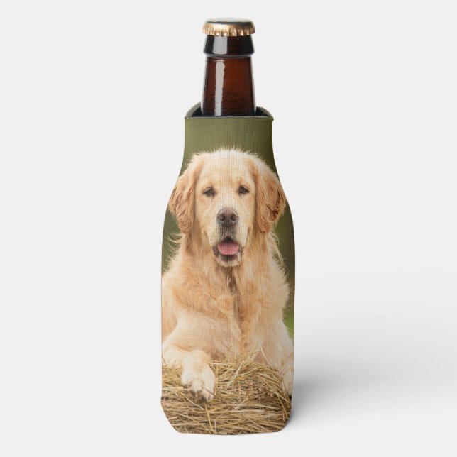 Beau Golden Retriever Glacière bouteille (Bottle Devant)