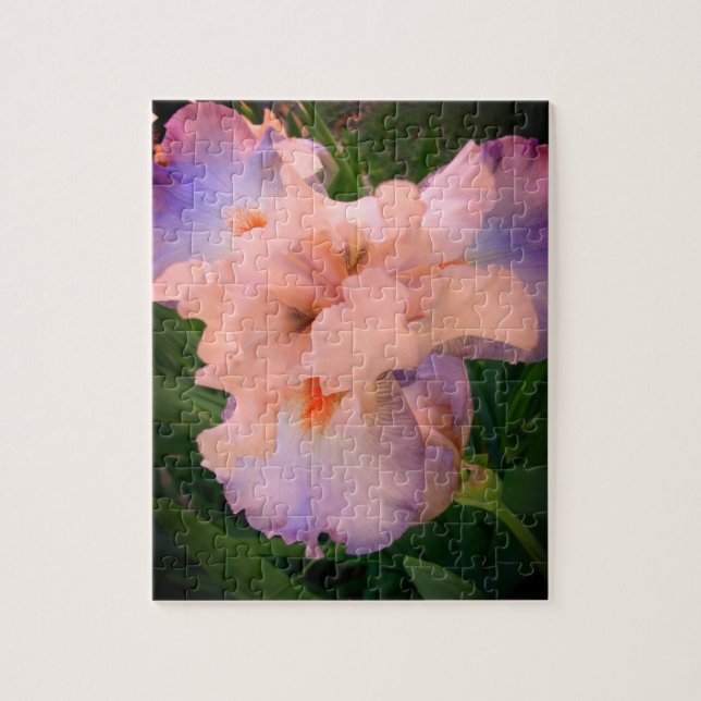 Beau Iris Puzzle (Vertical)