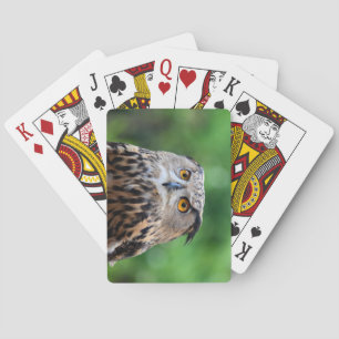 Beau jeu de cartes à jouer de hibou