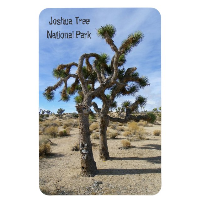 Beau Joshua Tree Premium Magnet ! (Vertical)