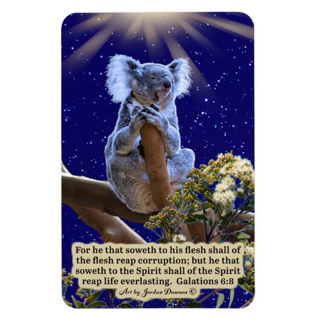 Beau Koala Scripture Magnet Galates 6:8 (Vertical)