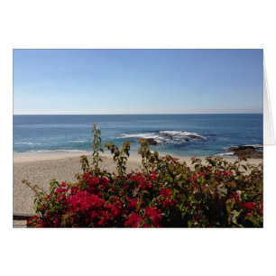 Beau Laguna Beach