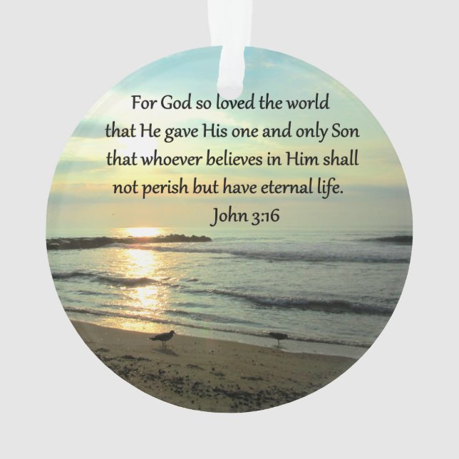 BEAU LEVER DE LEVER JOHN 3:16 DESIGN (dos)
