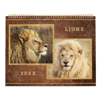 Beau Lions Photo Calendrier