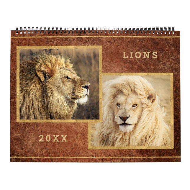 Beau Lions Photo Calendrier (Protection)