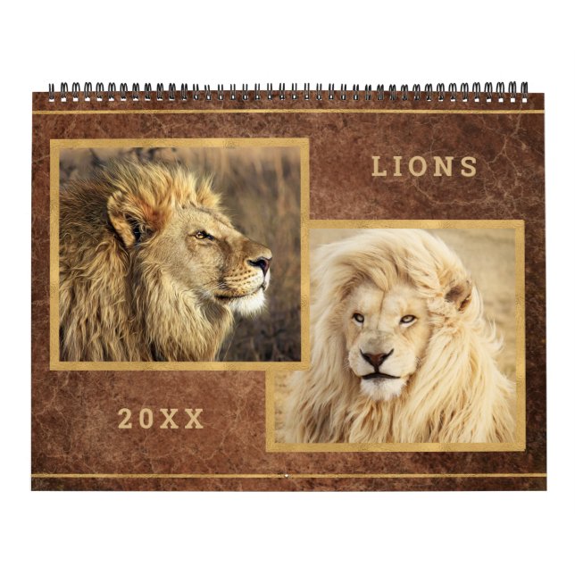 Beau Lions Photo Calendrier (Protection)