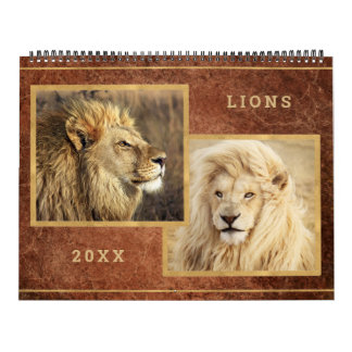 Beau Lions Photo Calendrier