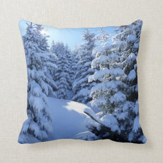 Beau Oreiller Pittoresque hiver
