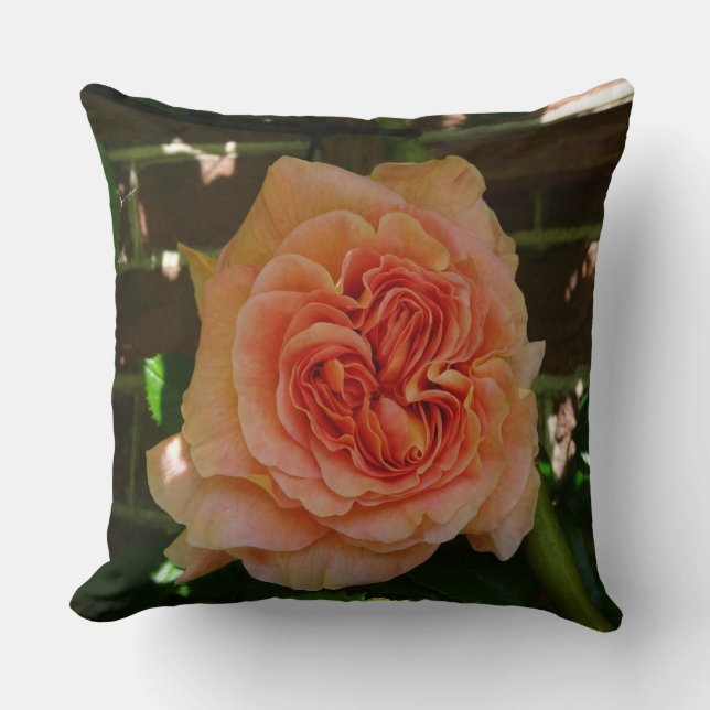 Beau Oreiller Rose Pastel (Recto)