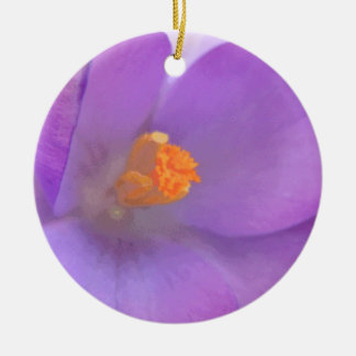 Beau Ornement Fleur de Crocus