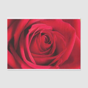 Beau papier de soie de soie de fleur de rose rouge