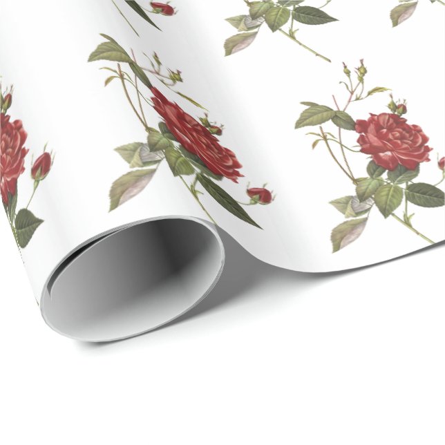Beau papier rose d'emballage cadeau (Coin rond)