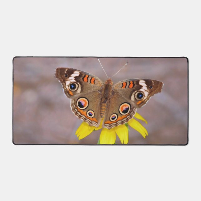 Beau papillon sur Fleur Jaune (Recto)