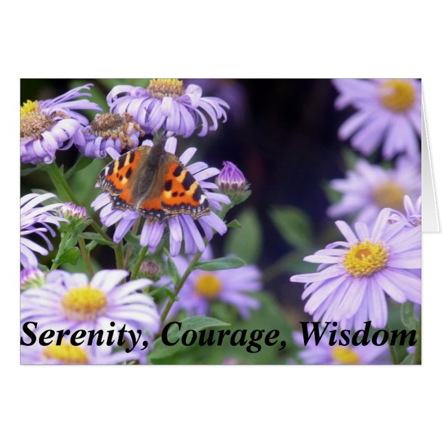 Beau Papillon Sur Fleurs Serenity (Devant horizontal)