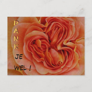 Beau Pastel Rose Dank je wel Carte postale