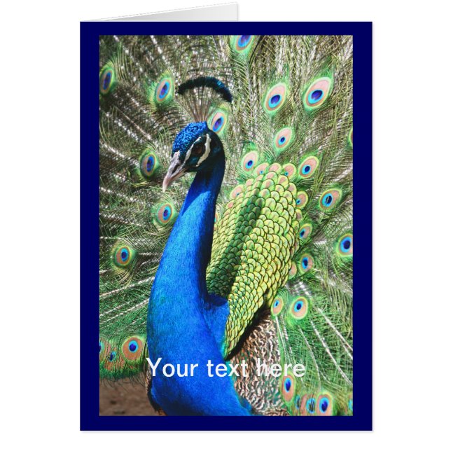 Beau Peacock (Devant)