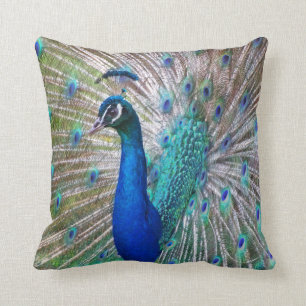 Beau Peacock Oreiller Décoratif