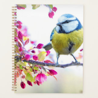Beau planificateur d'oiseaux de printemps