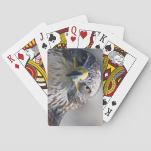 Beau pont d'aigle de cartes de jeu