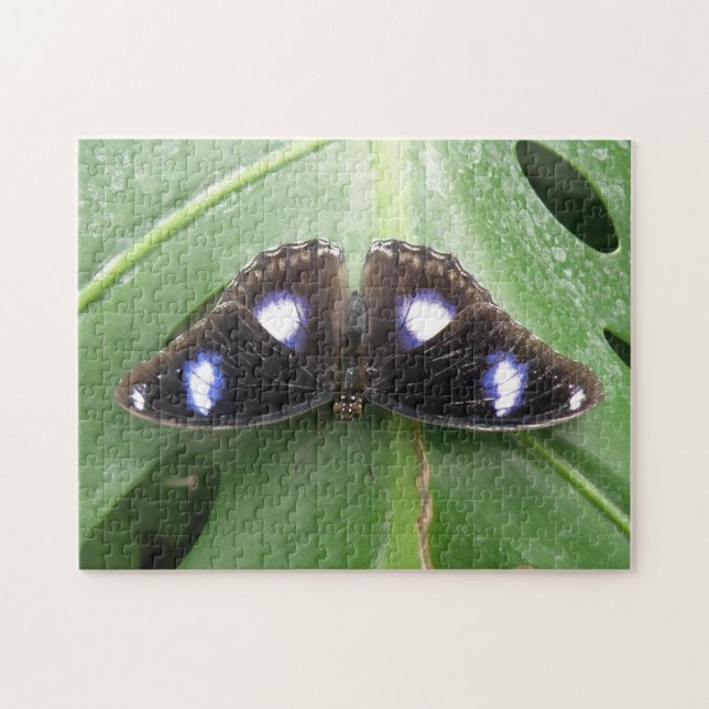 Beau Puzzle à Papillon Bleu tacheté (Horizontal)