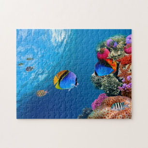 Beau puzzle corallien sous-marin