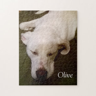 Beau Puzzle de Chiot Dormant Blanc