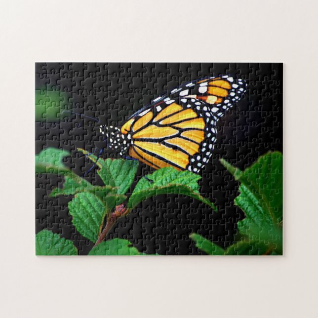 Beau Puzzle de papillon de monarque gros plan (Horizontal)