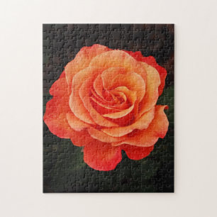 Beau puzzle d'impression de rose d'orange