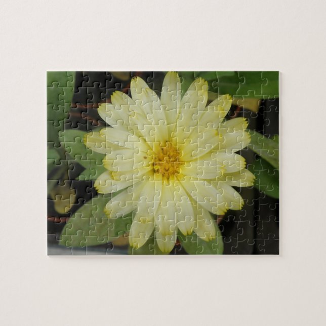 Beau Puzzle Jaune Marigold (Horizontal)
