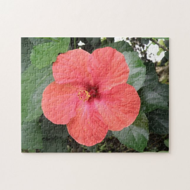 Beau Puzzle Orange Hibiscus Flower (Horizontal)