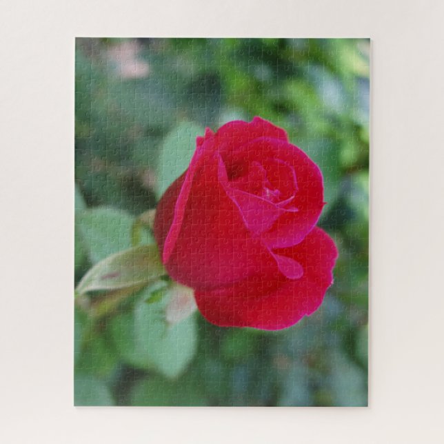 Beau Rose Jigsaw Puzzle (Vertical)