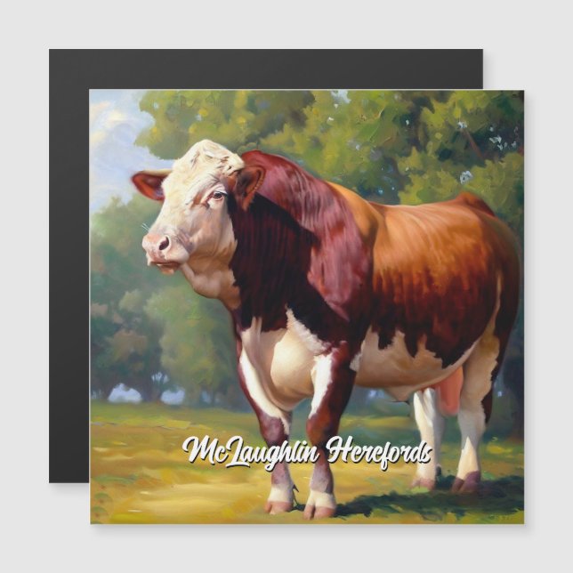 Beau rouge et blanc Hereford Bull (Devant / Derrière)