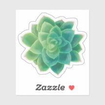Beau Sticker Plante Succulent