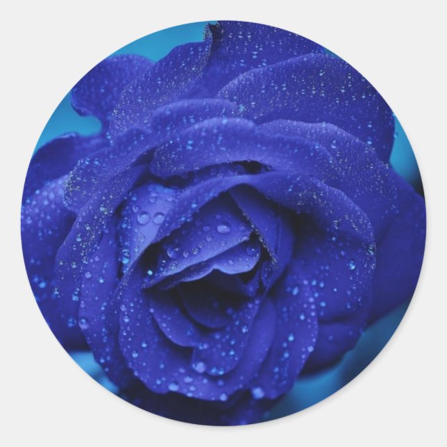 Beau Sticker Rose Bleu (Devant)