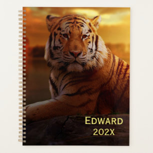 Beau tigre