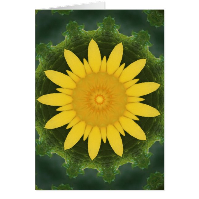 Beau tournesol (Devant)