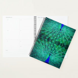 beau vert, bleu et turquoise