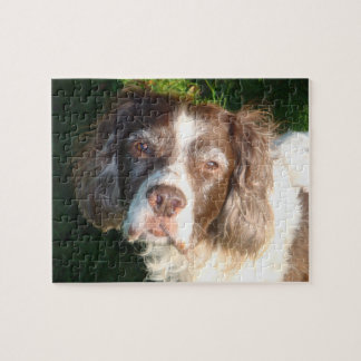 Beau vieux puzzle de chien