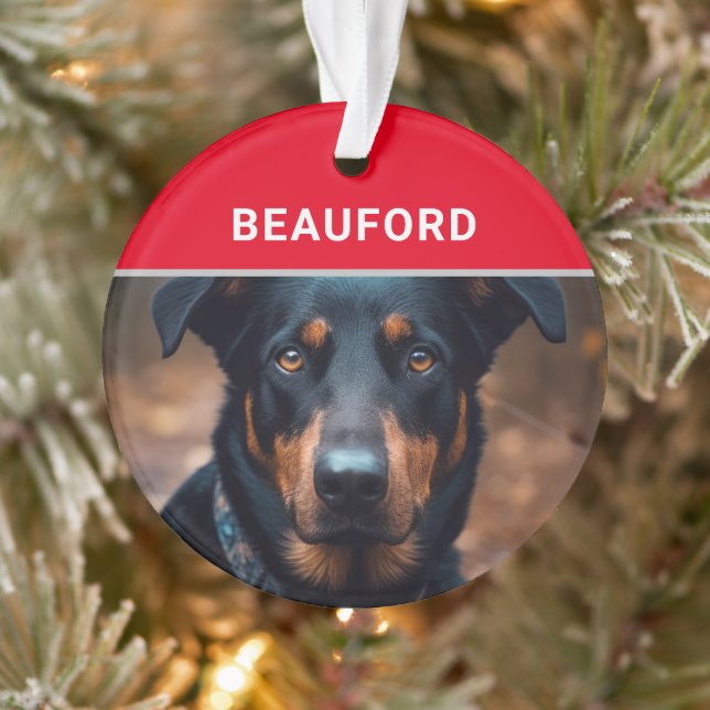 Beauceron avec le nom du chien et la photo Noël (Arbre)