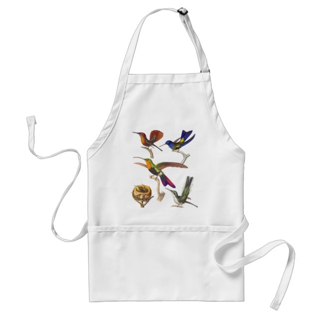 Beaucoup de colibris multicolores sur un tablier (Devant)