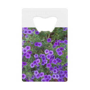 Beaucoup de fleurs phiox violet foncé
