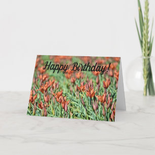 Beaucoup de tulipes orange carte d'anniversaire