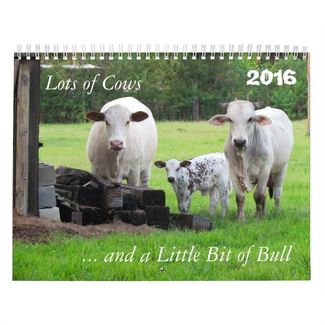 Beaucoup de vaches et un peu de calendrier Bull (Protection)