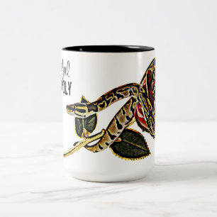 Beauté dangereuse de tasse de serpent de python de
