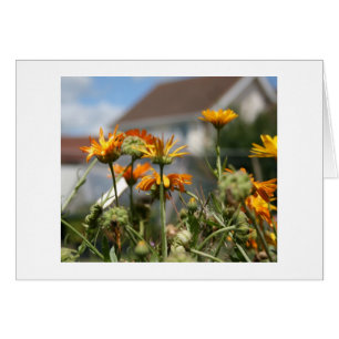 Beauté de effacement